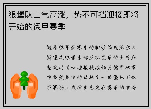 狼堡队士气高涨，势不可挡迎接即将开始的德甲赛季