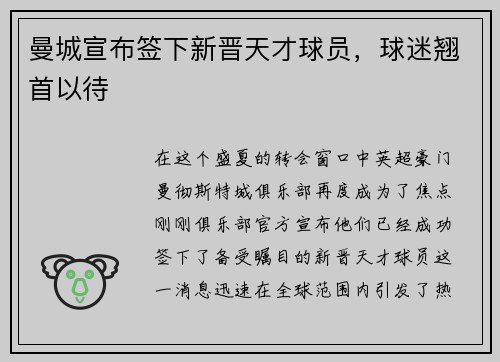 曼城宣布签下新晋天才球员，球迷翘首以待