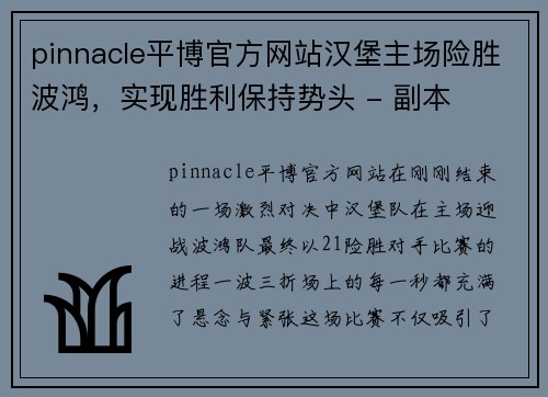 pinnacle平博官方网站汉堡主场险胜波鸿，实现胜利保持势头 - 副本
